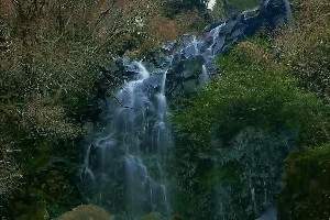 飛竜の滝　（神奈川県）