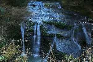 黒滝（折木沢）