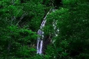木の実の滝