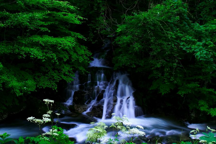 時雨の滝