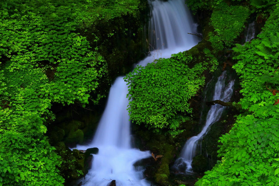 山雀の滝（やまがらの滝）