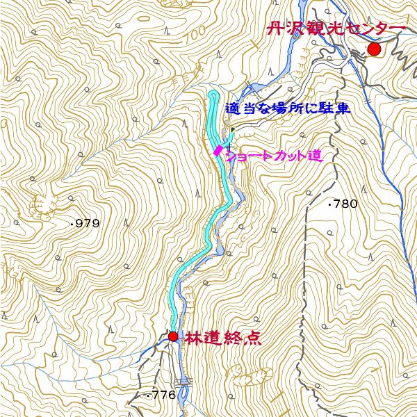 駐車場所から林道終点