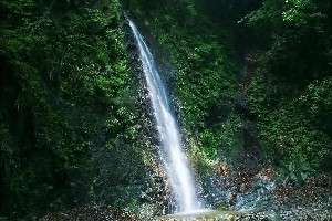 黒竜の滝　（神奈川県）