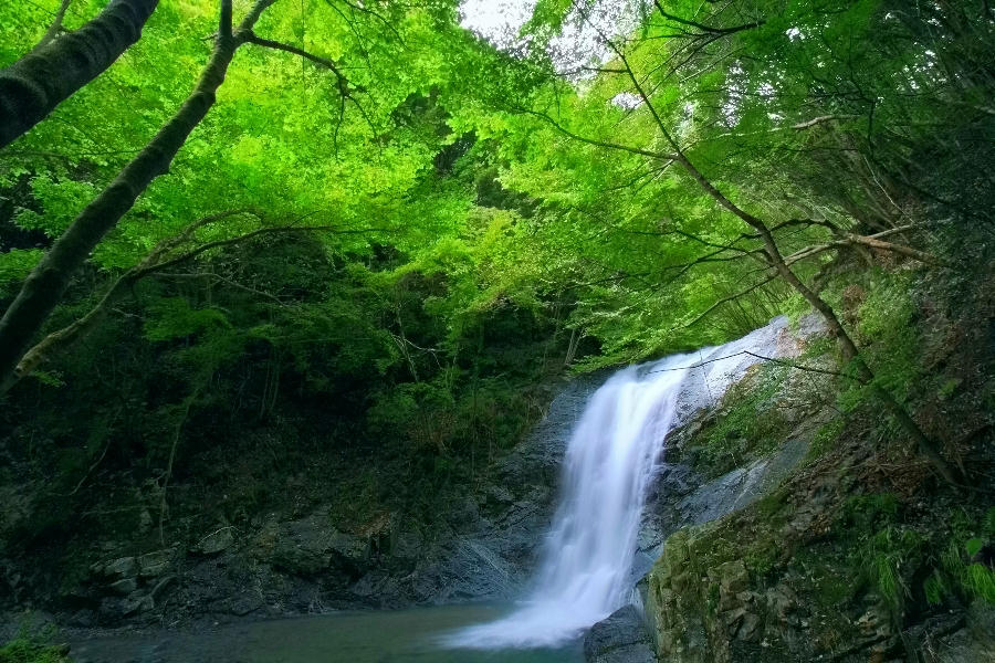 大滝(大滝沢)