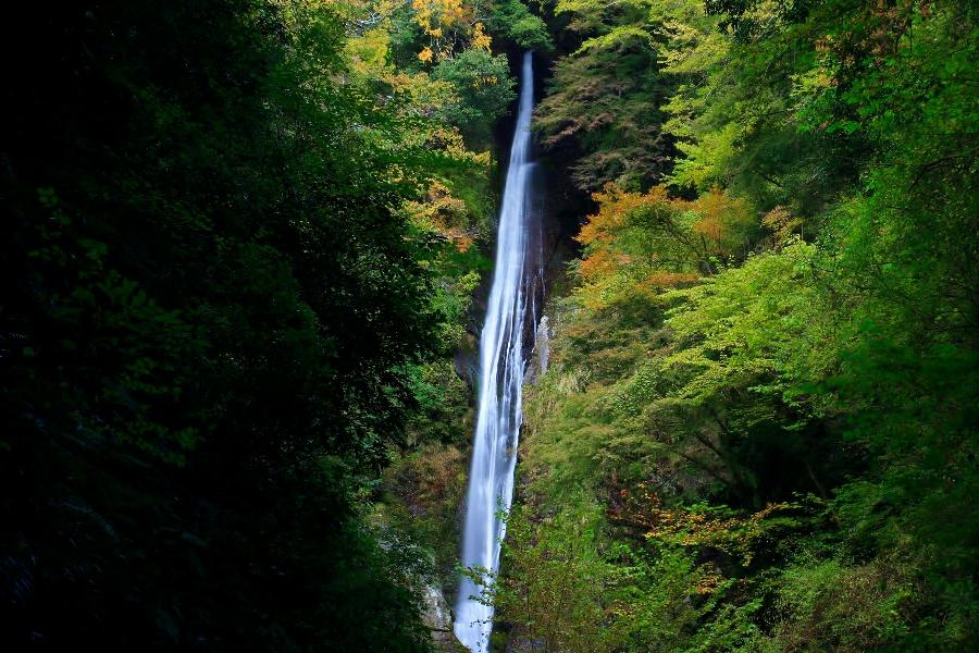 洒水の滝