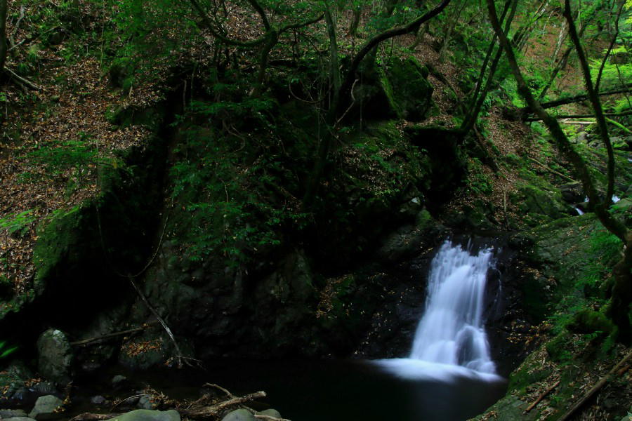 しのびの滝・《天滝渓谷》【兵庫県養父市】