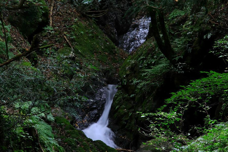 岩間の滝・《天滝渓谷》【兵庫県養父市】