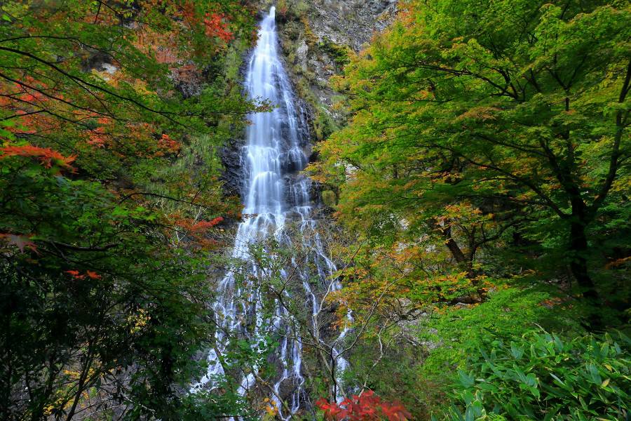 天滝（てんだき）《天滝渓谷》【兵庫県養父市】