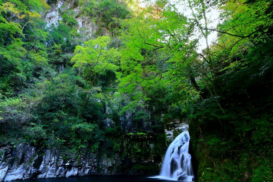 千手滝（せんじゅたき）・赤目四十八滝《日本の滝百選》【三重県名張市】