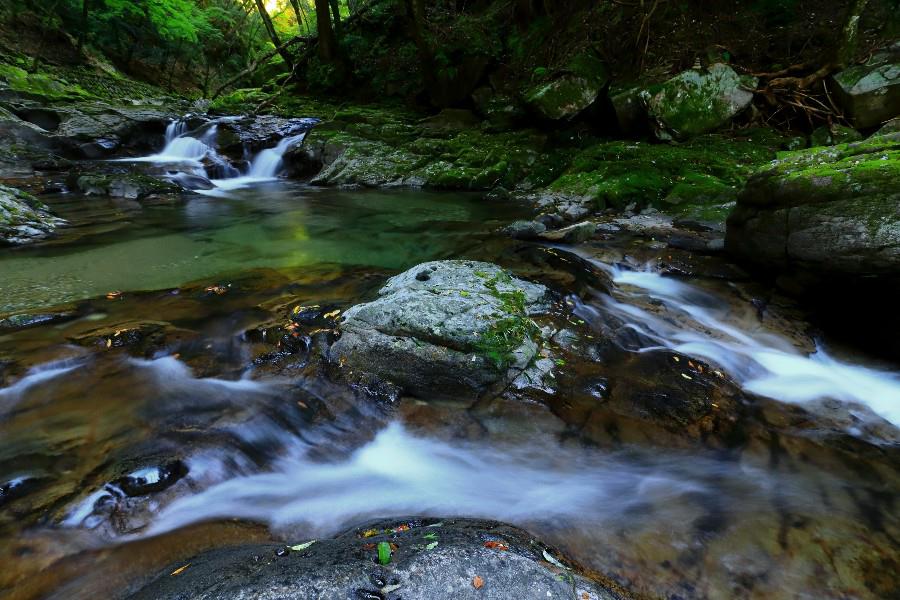 姉妹滝(しまいたき)・赤目四十八滝《日本の滝百選》・【三重県名張市】