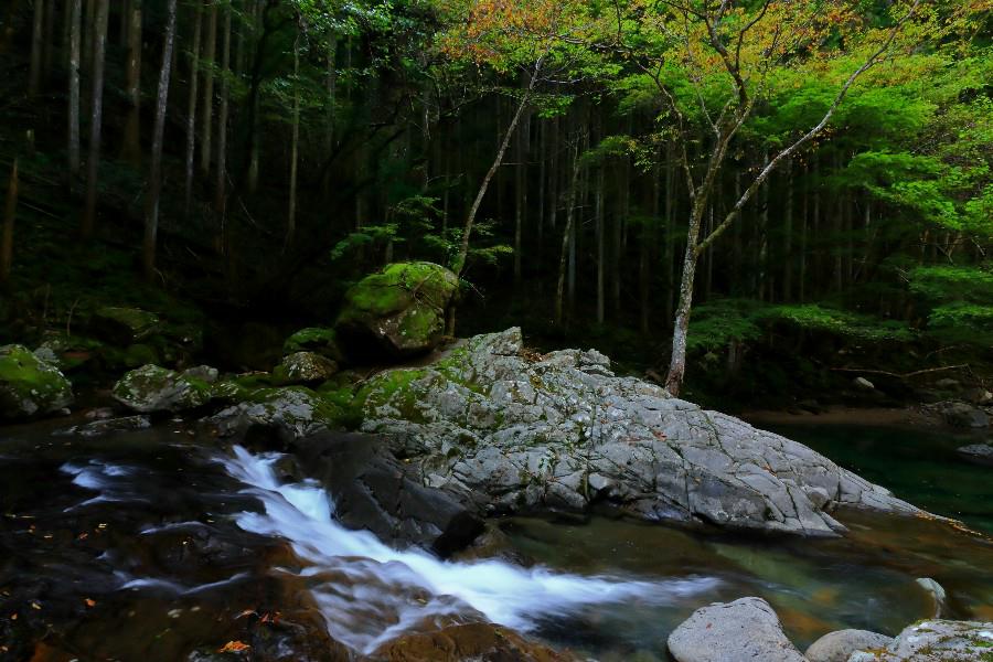 骸骨滝（がいこつたき）・赤目四十八滝《日本の滝百選》・【三重県名張市】