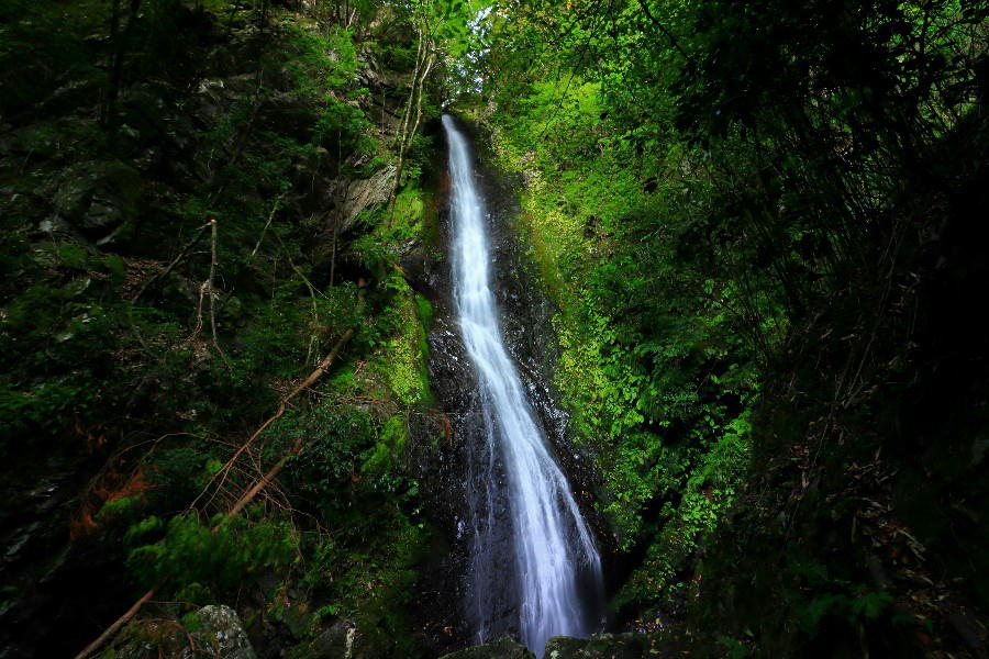 五光の滝　（ごこうのたき）　【和歌山県橋本市】