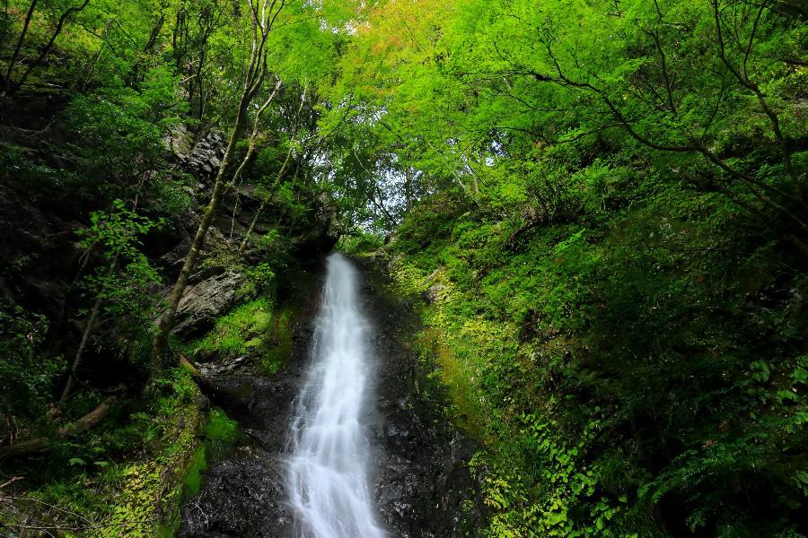 五光の滝　（ごこうのたき）　【和歌山県橋本市】