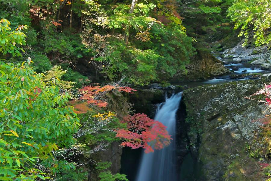 高野大滝（こうやおおたき）【和歌山県高野町】