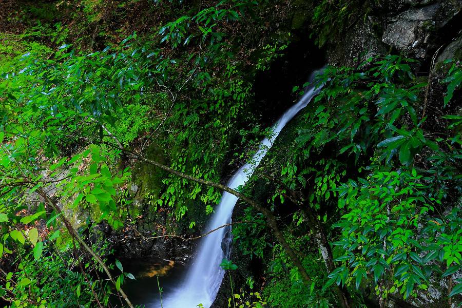 御手洗の滝 (みたらいのたき) 【和歌山県橋本市】