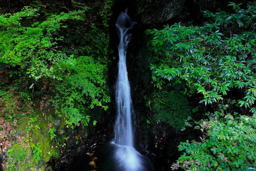 御手洗の滝 (みたらいのたき) 【和歌山県橋本市】