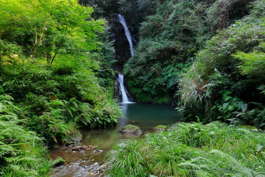 藤本滝（ふじもとたき）【鹿児島県薩摩川内市】