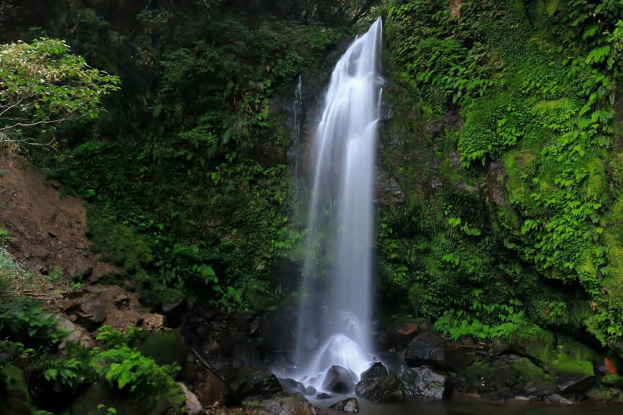 大滝（おおたき）【鹿児島県鹿児島市】