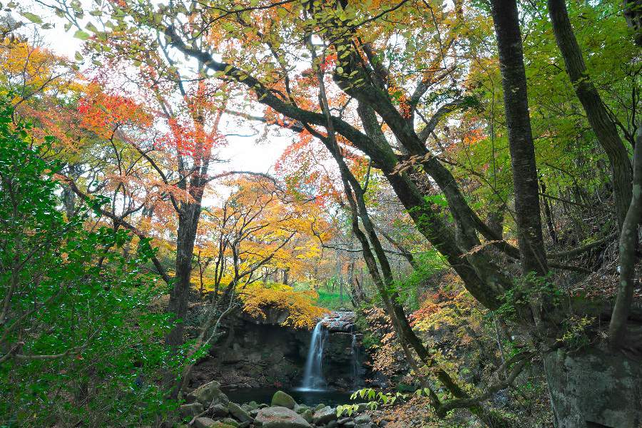 マゼノ滝(まぜのたき)【熊本県南小国町】
