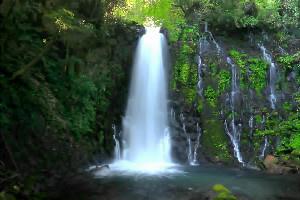 白糸の滝