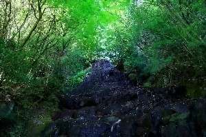 白糸の滝