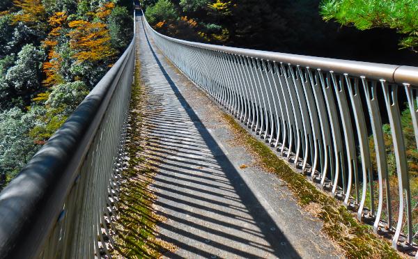 梅の木轟公園　吊橋