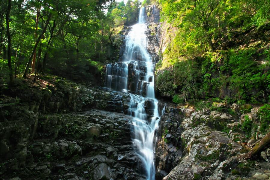 白滝（しらたき）【宮崎県都農町】】