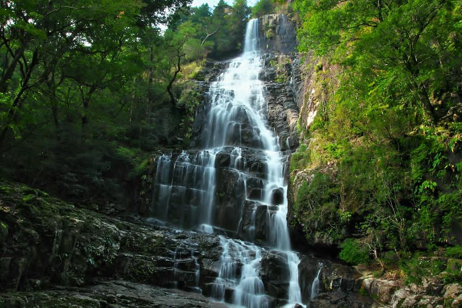 白滝（しらたき）【宮崎県都農町】】