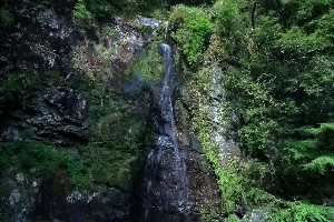 楊柳の滝