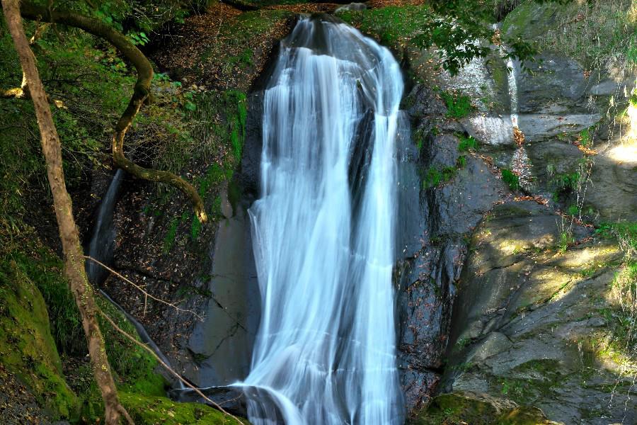 母滝（ははたき）【大分県竹田市】
