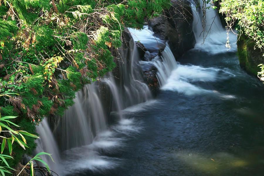 米賀の滝（こめがのたき）【大分県竹田市】