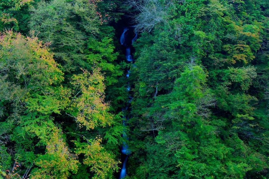 大水沢の滝