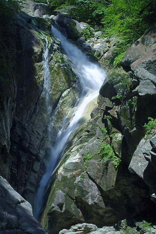 螺旋滝　日本の滝百選・田立の滝　