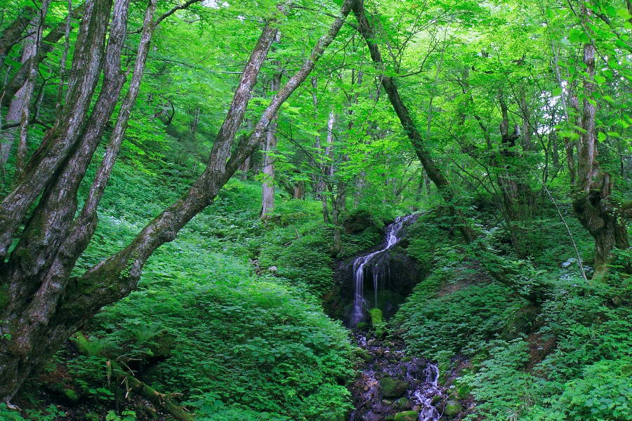 竜神の滝近くの滝