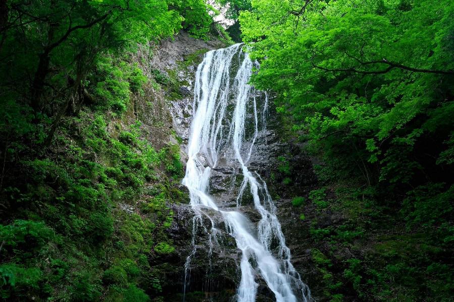 丸神の滝（まるがみのたき）【埼玉県小鹿野町】≪日本の滝百選≫