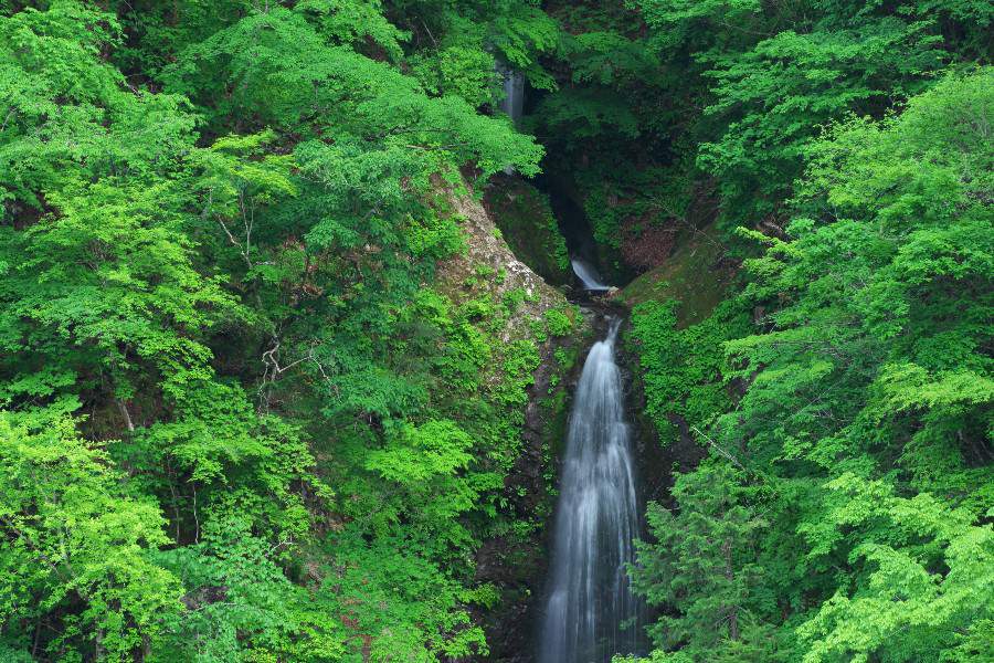 丸神の滝（まるがみのたき）【埼玉県小鹿野町】≪日本の滝百選≫