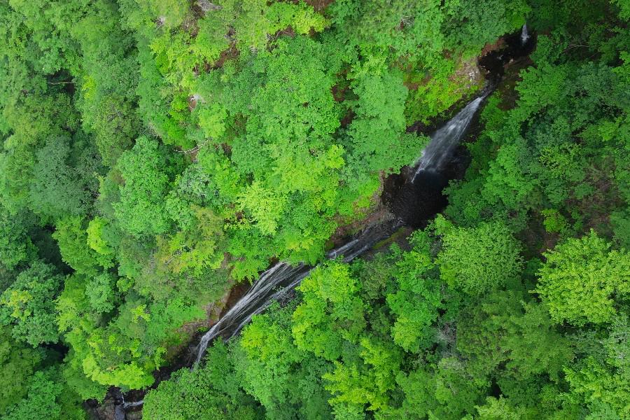 丸神の滝（まるがみのたき）【埼玉県小鹿野町】≪日本の滝百選≫