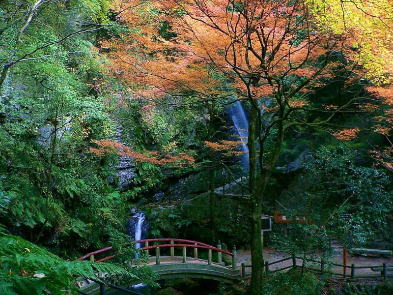 男滝（おだき）・女滝（めだき）【埼玉県越生町】≪黒山三滝≫