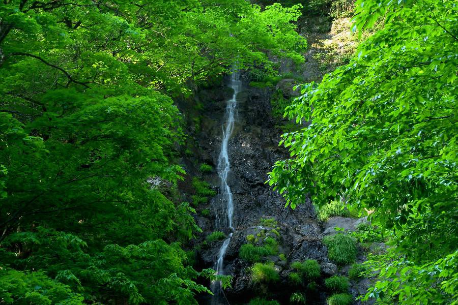 高滝（たかたき）【埼玉県　小鹿野町】