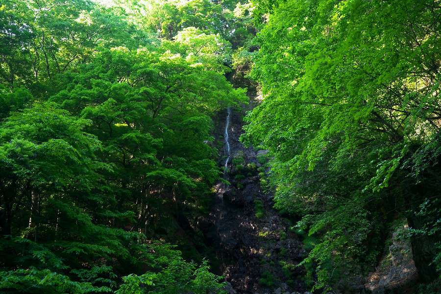 高滝（たかたき）【埼玉県　小鹿野町】