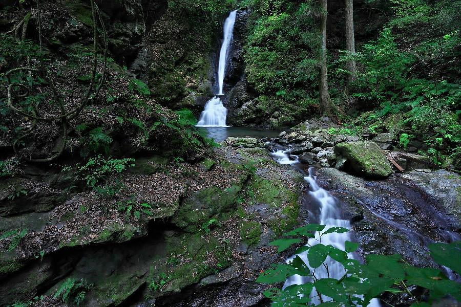 雌滝（めたき）≪津越の滝（つごえのたき）≫【愛媛県西条市】