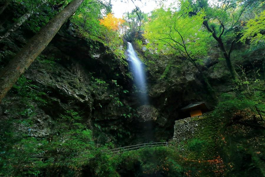 樽滝(たるたき)【愛媛県西予市】