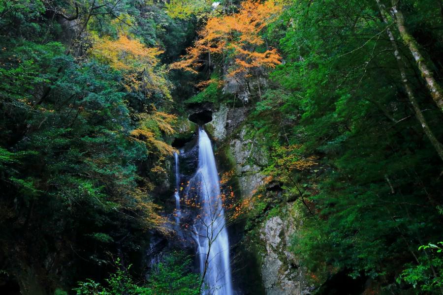 長沢の滝(ながさわのたき)・【高知県高岡郡津野町】