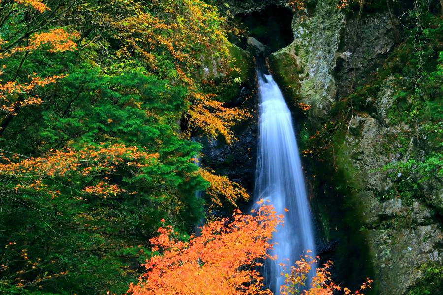 長沢の滝（ながさわのたき）・【高知県高岡郡津野町】