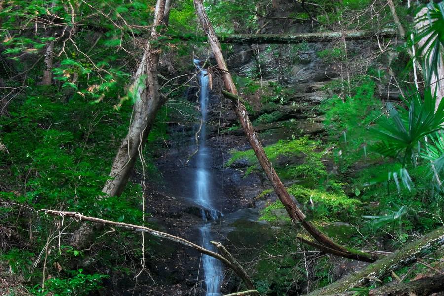 壽滝（ことぶきたき）【徳島県つるぎ町・東みよし町】