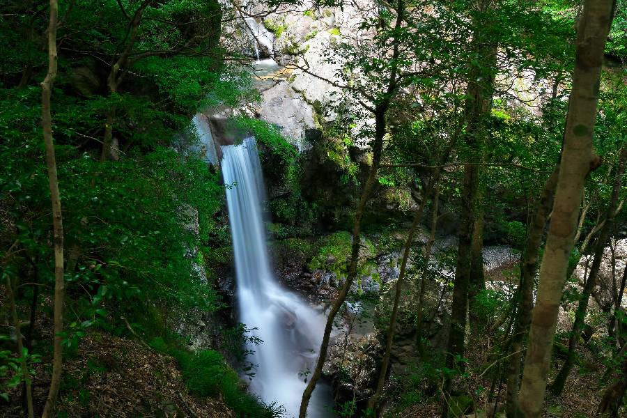 鍋割滝(なべわりたき)≪日本の滝百選≫轟九十九滝【徳島県海陽町】