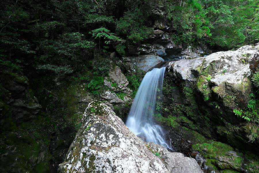 鍋割滝(なべわりたき)≪日本の滝百選≫轟九十九滝【徳島県海陽町】