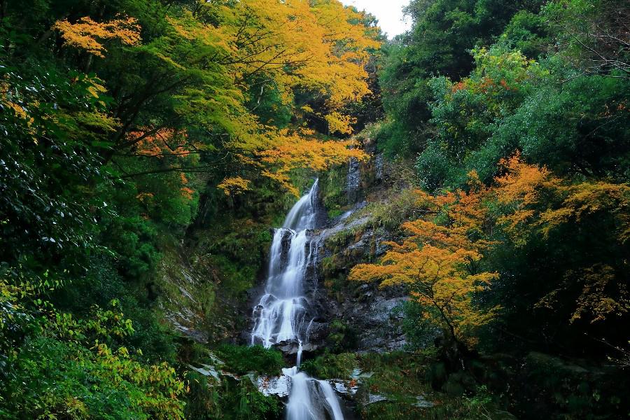 鳴滝(なるたき)【徳島県つるぎ町】