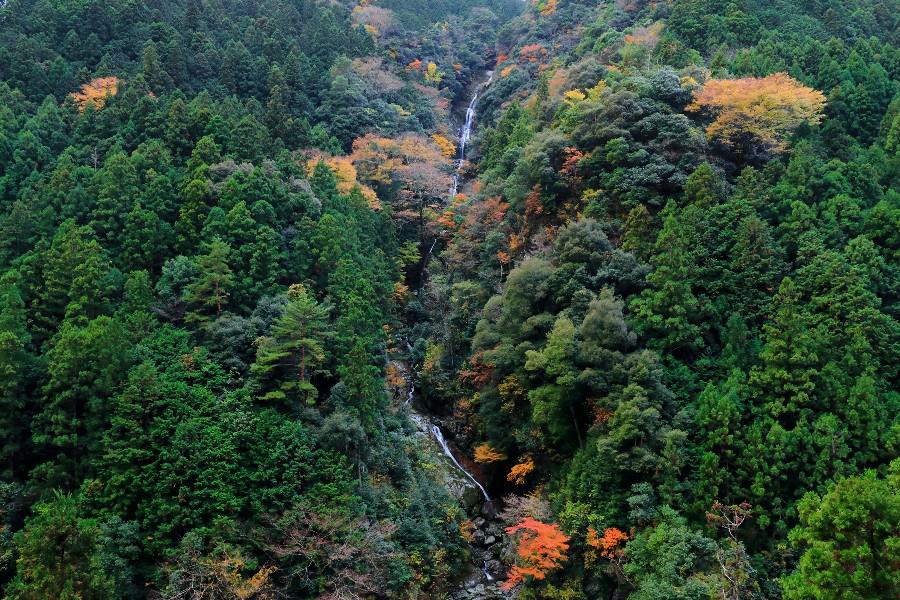 鳴滝(なるたき)【徳島県つるぎ町】
