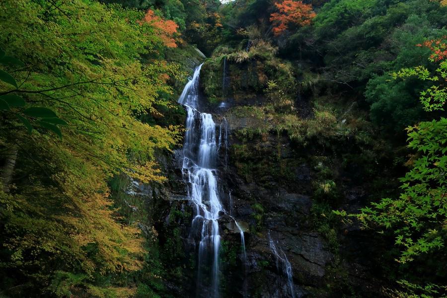 鳴滝(なるたき)【徳島県つるぎ町】